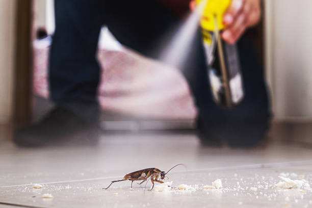 Reliable Arial, SC Pest Control Solutions